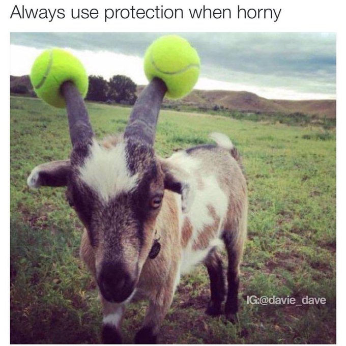 Some advice for today 😏😏 https://t.co/h7gbhizvcz<a href="/tag/lucky"class="tags"><span>#lucky</span></a><a href="/tag/ladybug"class="tags"><span>#ladybug</span></a><a href="/tag/luckymondays"class="tags"><span>#luckymondays</span></a>