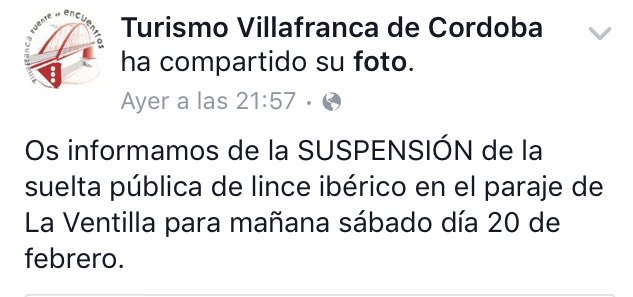 elagupc's tweet photo. No entiendo el descontrol que existe en mi pueblo. Anuncian, anulan y al final se hace la suelta de los linces. 😧😧 https://t.co/YF9H3RH11A