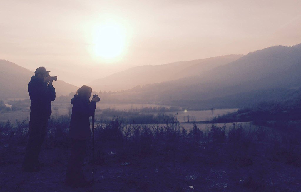 Shimnix Films tweet media