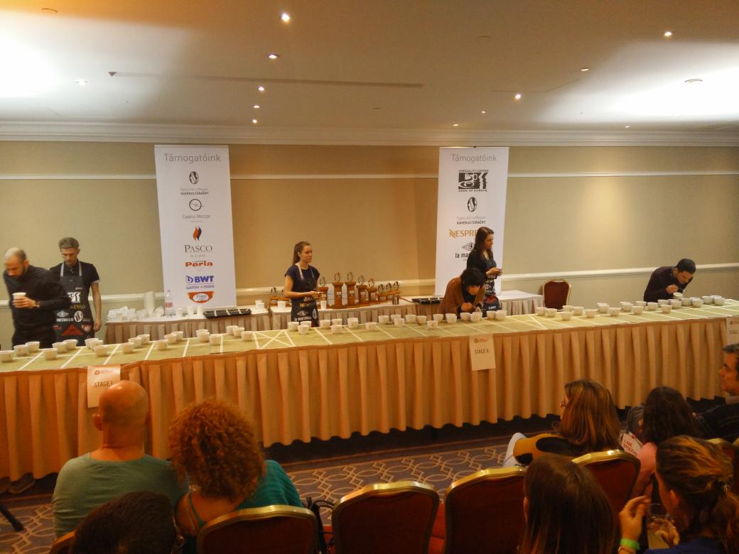 minakoffein's tweet photo. #cuptasting #championship #hungary #budapest https://t.co/u2K1wIfDf5