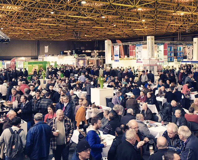 SaskiaXpo's tweet photo. Overduidelijk: @8500Kortrijk wordt Europese hotspot voor duivensport! Al 20 nationaliteiten op #Fugare @kortrijkxpo https://t.co/ipNXxIcAt7