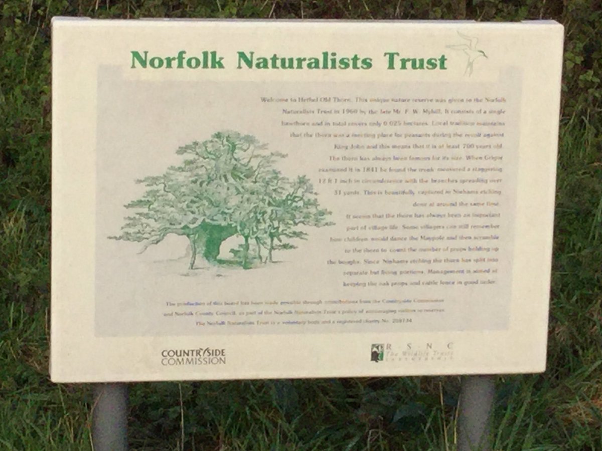 TiCLme's tweet photo. At 250 sq metres have you found the smallest nature reserve @NaturalEngland ?

https://t.co/CfKq8i8hon

🌳 https://t.co/ECLp2jTyYN