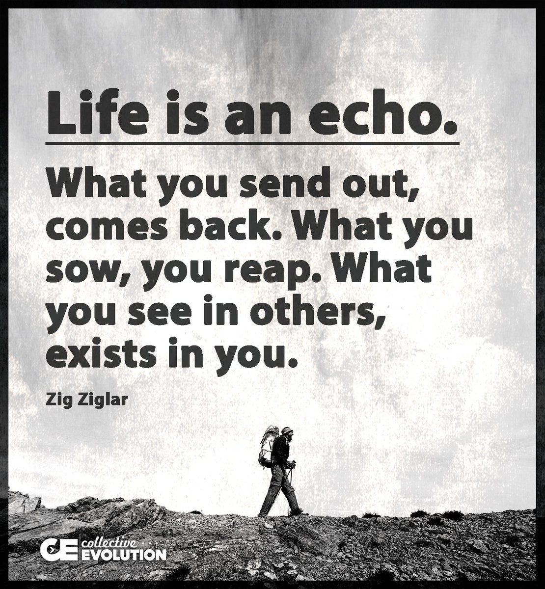 CollectiveEvol's tweet image. Life is an echo - Via @CollectiveEvol