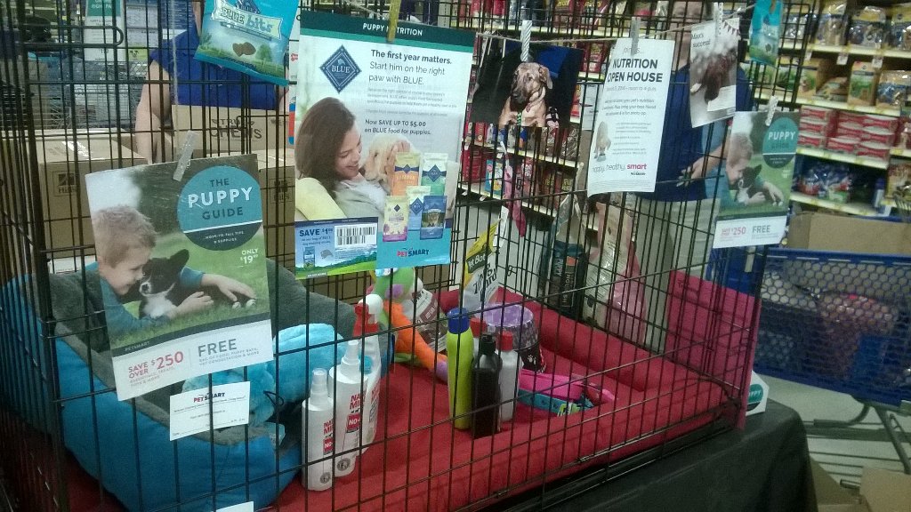 FriedmannDaniel's tweet photo. Puppy palooza getting pumped up!! @ssmiley231, #charlotteevents, @carolinapanthers https://t.co/7tRKJBFoSx
