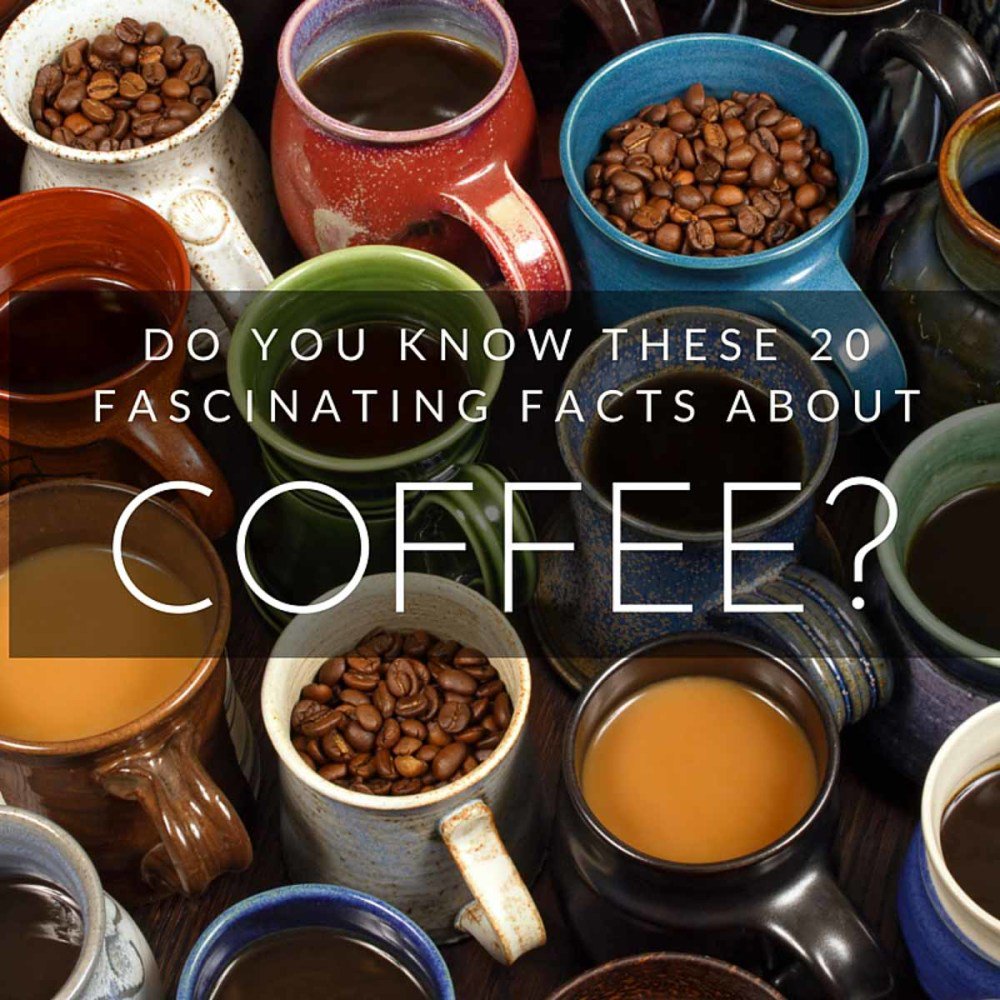 MonkeysMtnsHike's tweet image. Do You Know These 20 Fascinating Facts About #Coffee? bit.ly/QeJbwM #espresso