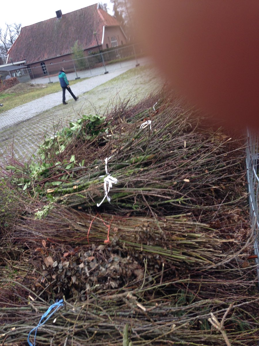 pvbDijkhoek's tweet photo. Drukke dag #paasvuur #dijkhoek veel aanvoer van hout, rijen bossen liggen klaar en middenpaal staat #berkelland https://t.co/oZisti70Vf