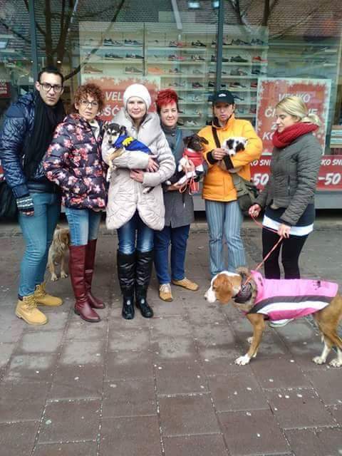SNP_Kraljevo's tweet photo. Обележен дан љубимаца https://t.co/HAng6VDIed