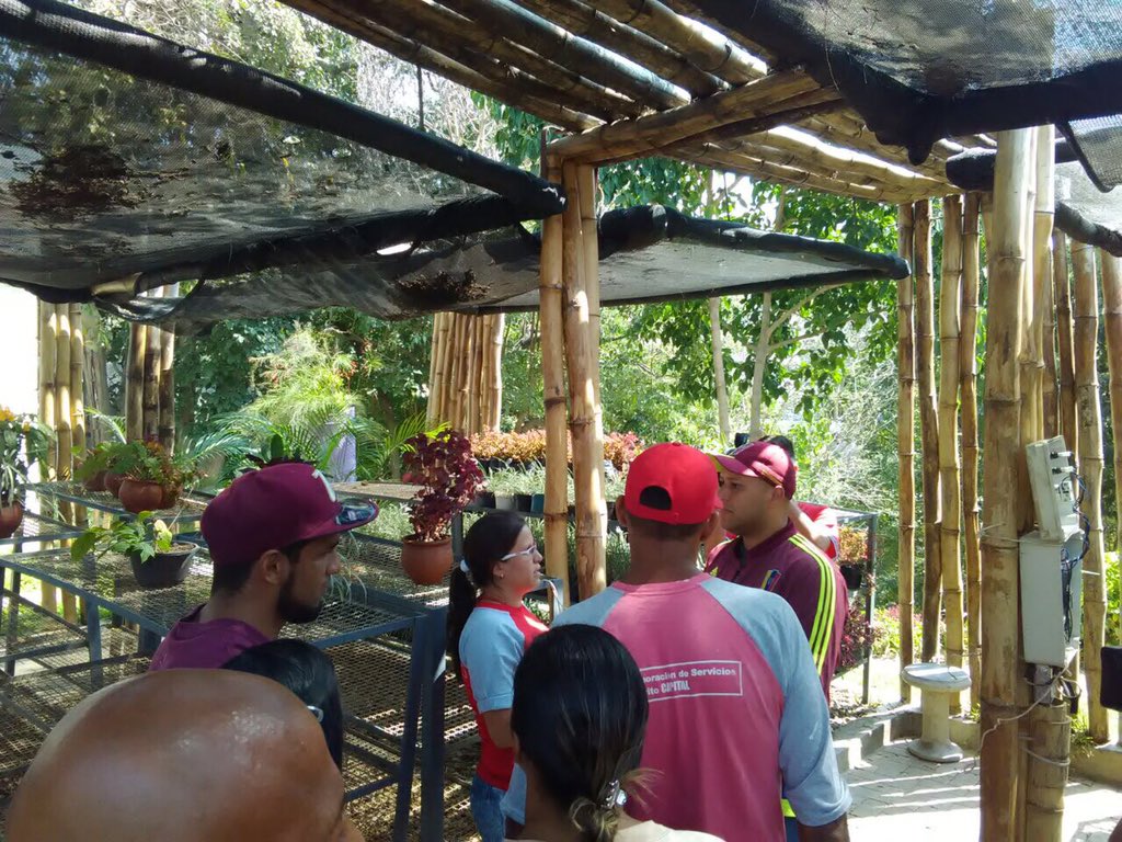 RanderPena's tweet photo. Jefe de Gobierno del Dtto. Capital @DanielPSUV visita proyecto socioproductivo en el parque aristides rojas. https://t.co/qCgoRR2ei5