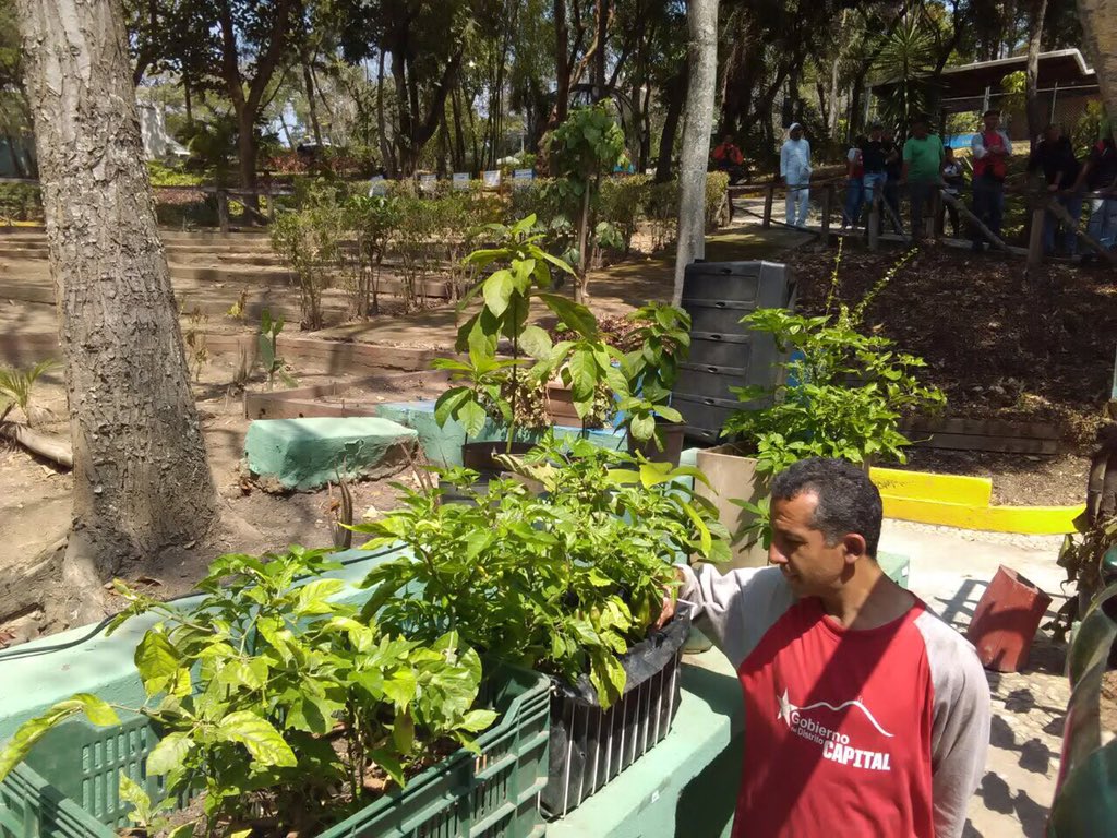 RanderPena's tweet photo. Jefe de Gobierno del Dtto. Capital @DanielPSUV visita proyecto socioproductivo en el parque aristides rojas. https://t.co/qCgoRR2ei5