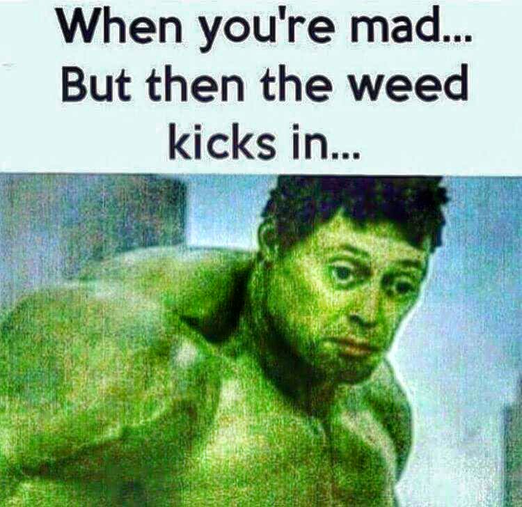 FuriousHermit's tweet photo. Buahaha saa true! @mzstoned @weed @WeedPower101 @StillHighDoe @WeedHumor #LegilizeIt https://t.co/4ASFyI1VNL