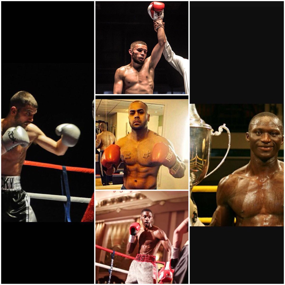 Platinum Boxing tweet media