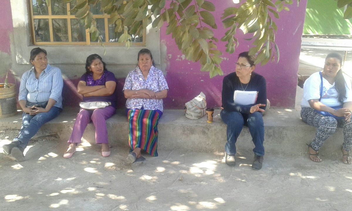 ptsonoraoficial's tweet photo. PTSonora fortaleciendo presencia en Nav. y Huatabampo. En comunidades de El Dátil, Las Milpas y col. Beltrones https://t.co/gn6cFp5st8