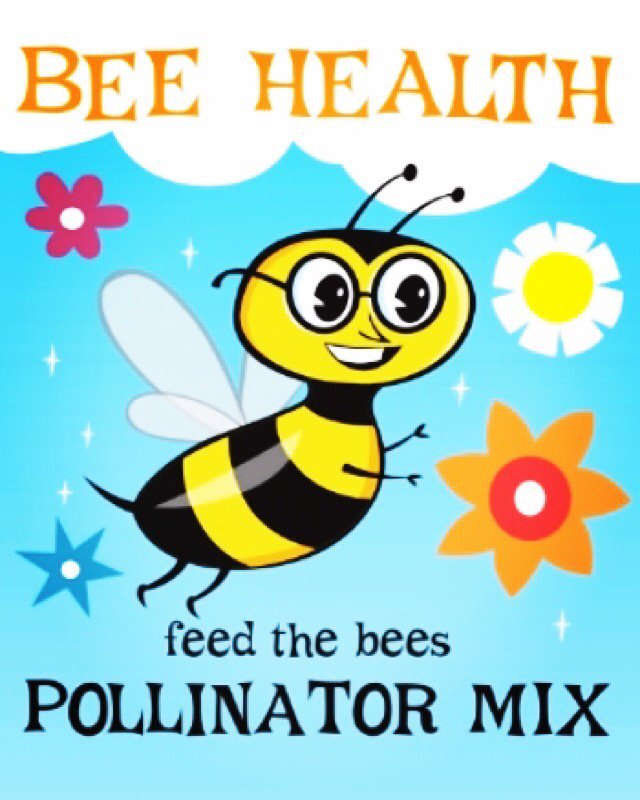 TheSeedGenie's tweet photo. Who loves this cute little retro bee? #customseeds โจ๐โจ๐โจ๐ https://t.co/eV0ownjhf0