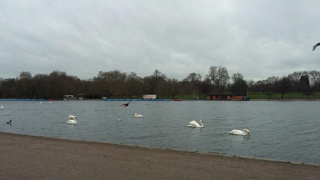 VideoMap's tweet image. Photo name: Hyde Park  
From: Лондон 
Download it on GP: play.google.com/store/apps/det…