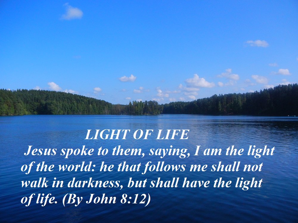 AlexSavch58's tweet photo. LIGHT OF LIFE https://t.co/1qZjEIGz0R