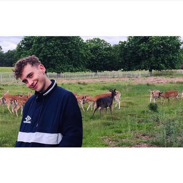 YearsEstonia's tweet photo. listen this is my fav pic in the whole entire world https://t.co/OLhYL1ULjq