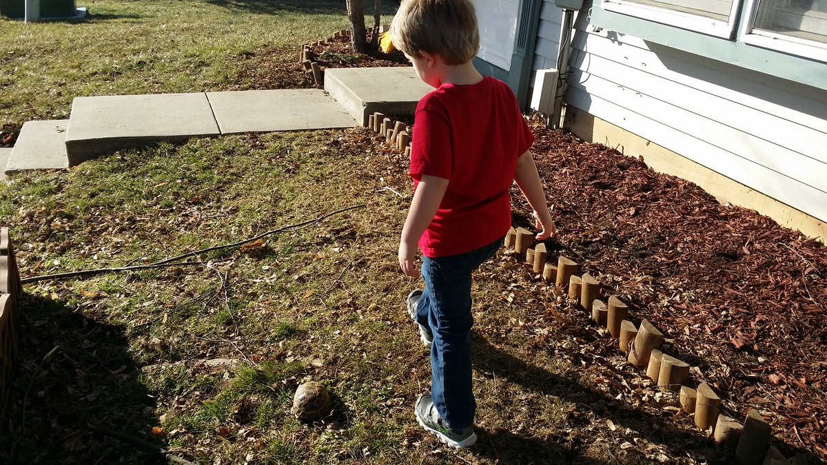 JennCramer0315's tweet photo. Jack and his tortoise are enjoying the warm weather today.  #inspiredbypets  @JulzLawrence  @Ronrichie1 https://t.co/qMUxilD4Df