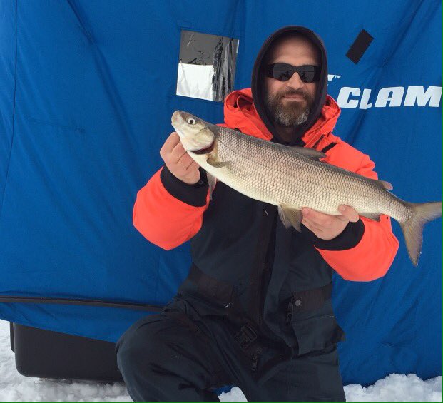 johnnyangler's tweet photo. Nice #fish boys ! Great #catch ang33ca @OLosiggio #Lake #Simcoe  #whitefish #2016 Hardwater Season #Ice-fishing #jig https://t.co/4NqLvU42Ze