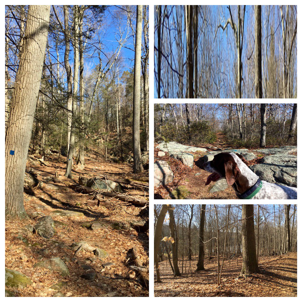 Beautiful day for a hike in the res. Try the blue trail, bring your dog.