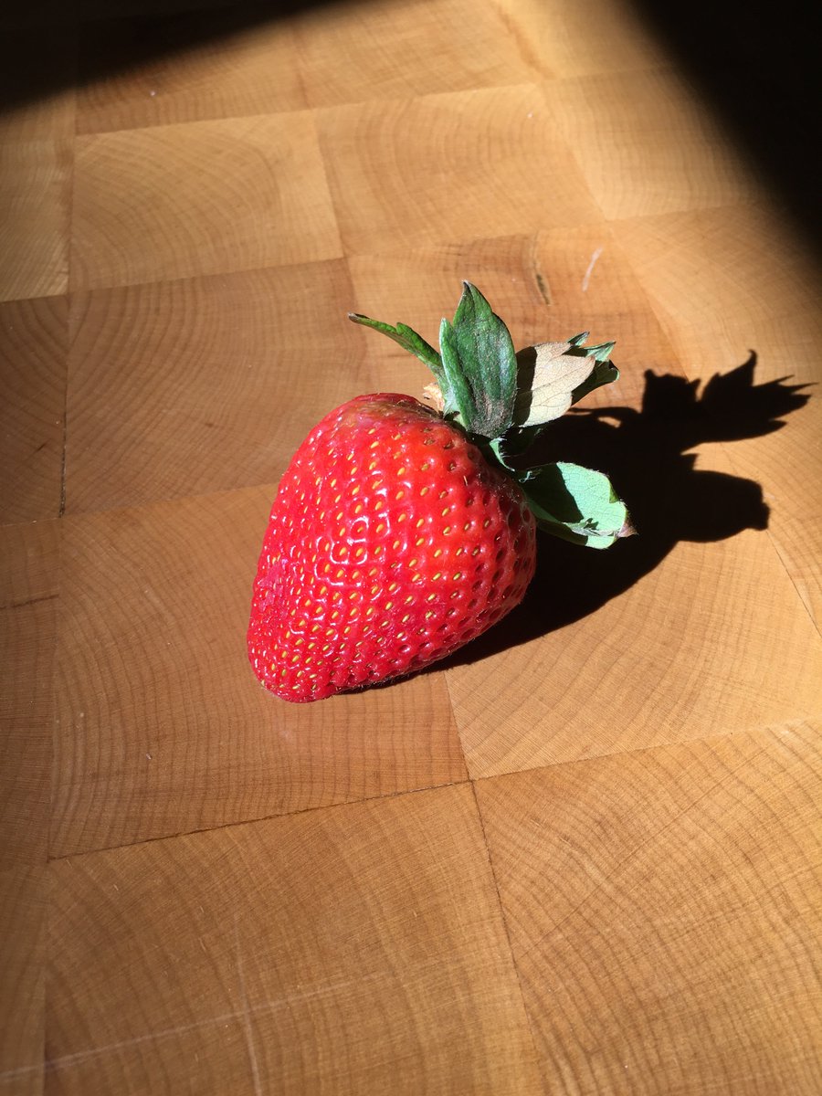 jasonfried's tweet photo. Store-bought organic fruit is starting to look way too perfect. I’m beginning to be skeptical. @michaelpollan. https://t.co/RJD6bs4gM0