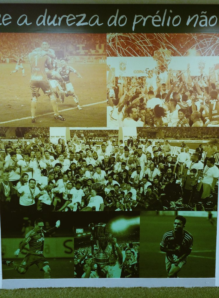 Palmeiras's tweet photo. O @Zeoficial10  falou no começo de 2015 e a profecia se cumpriu. Os campeões  nas paredes do vestiário! https://t.co/NTnSapqVHc