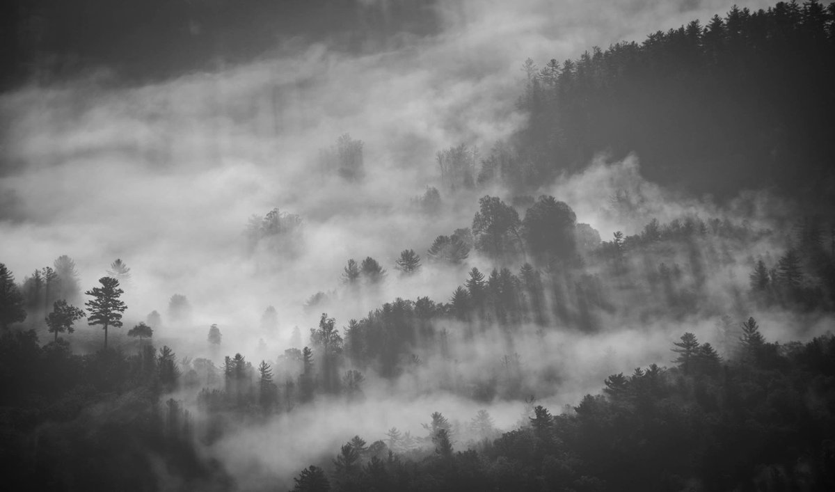 unsplash's tweet photo. Collection #101, curated by Dan Snow @thehistoryguy, BBC TV historian and author.
https://t.co/4F4eFwzGjt https://t.co/Xyfqw7Mkgz