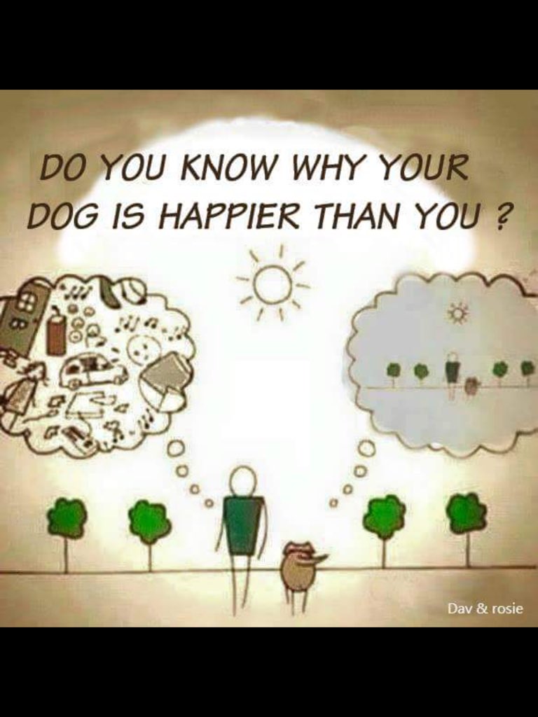 CPHTEdinburgh's tweet image. I love this simple but effective picture, quieten your mind with hypnotherapy