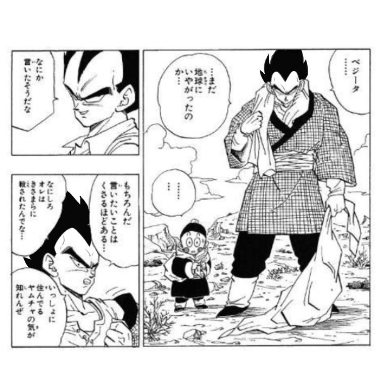 ドラゴンボールの天津飯とベジータの顔が似てるらしいので髪の毛