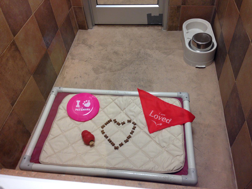 Come to Montgomeryville, Pa for #puppypalooza and have a sleep over @inspiredbypets <a href="/CpaulChuck2/">Chuck Paul</a>