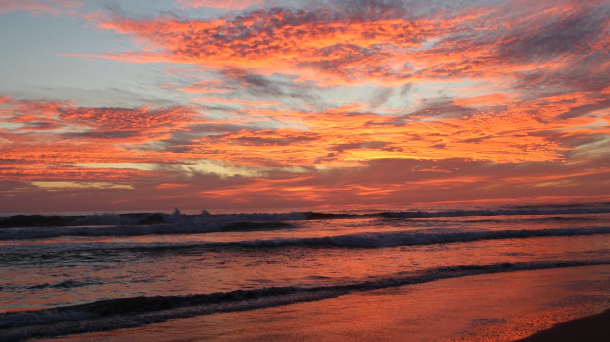 riviera troncones tweet media