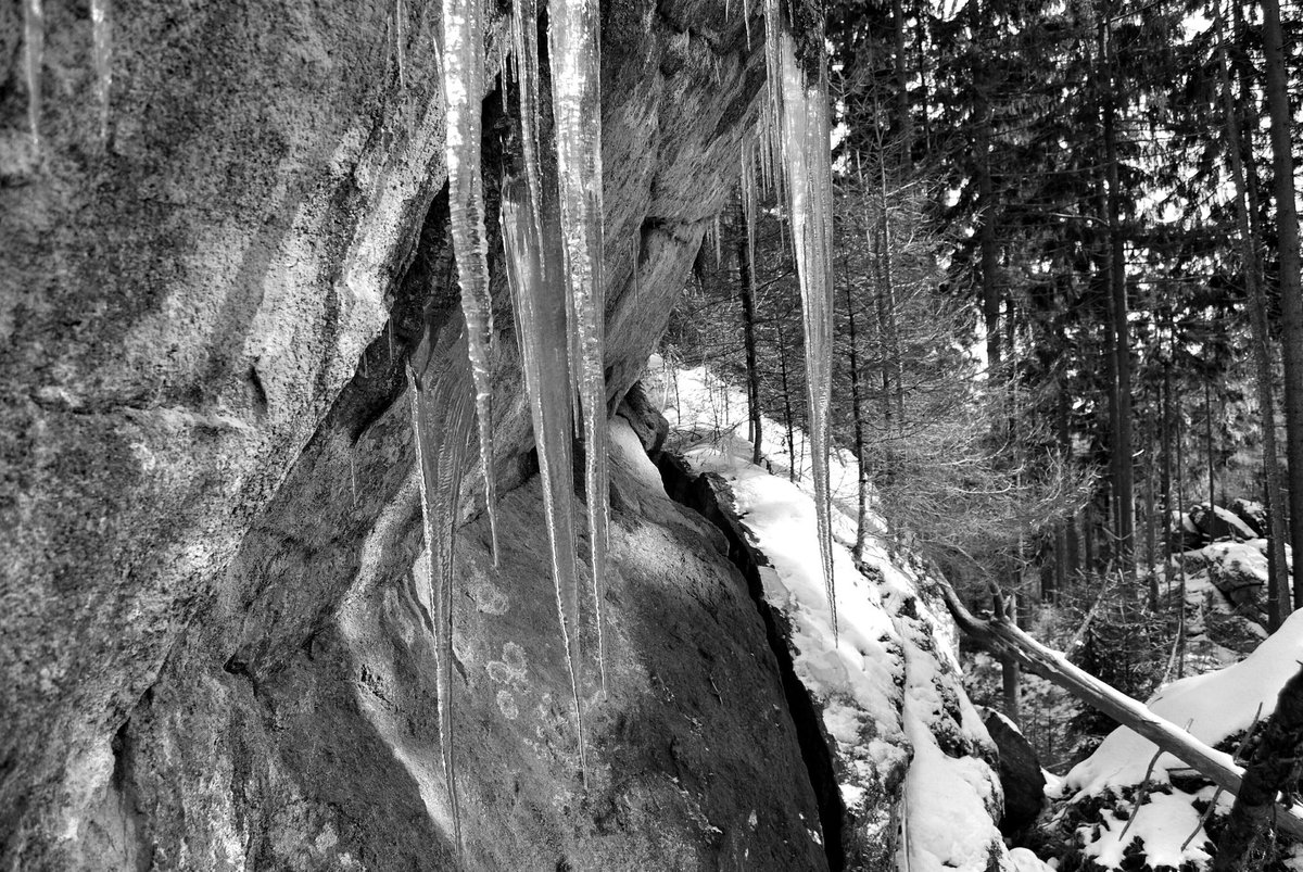 marcelajirkova's tweet photo. Tip na výlet #frydava - #vitkuvhradek #sumava ta pravá i se sněhem, který chybí #jiznicechy #Nikon #zrcadlovka https://t.co/Jzq5dpkU1p