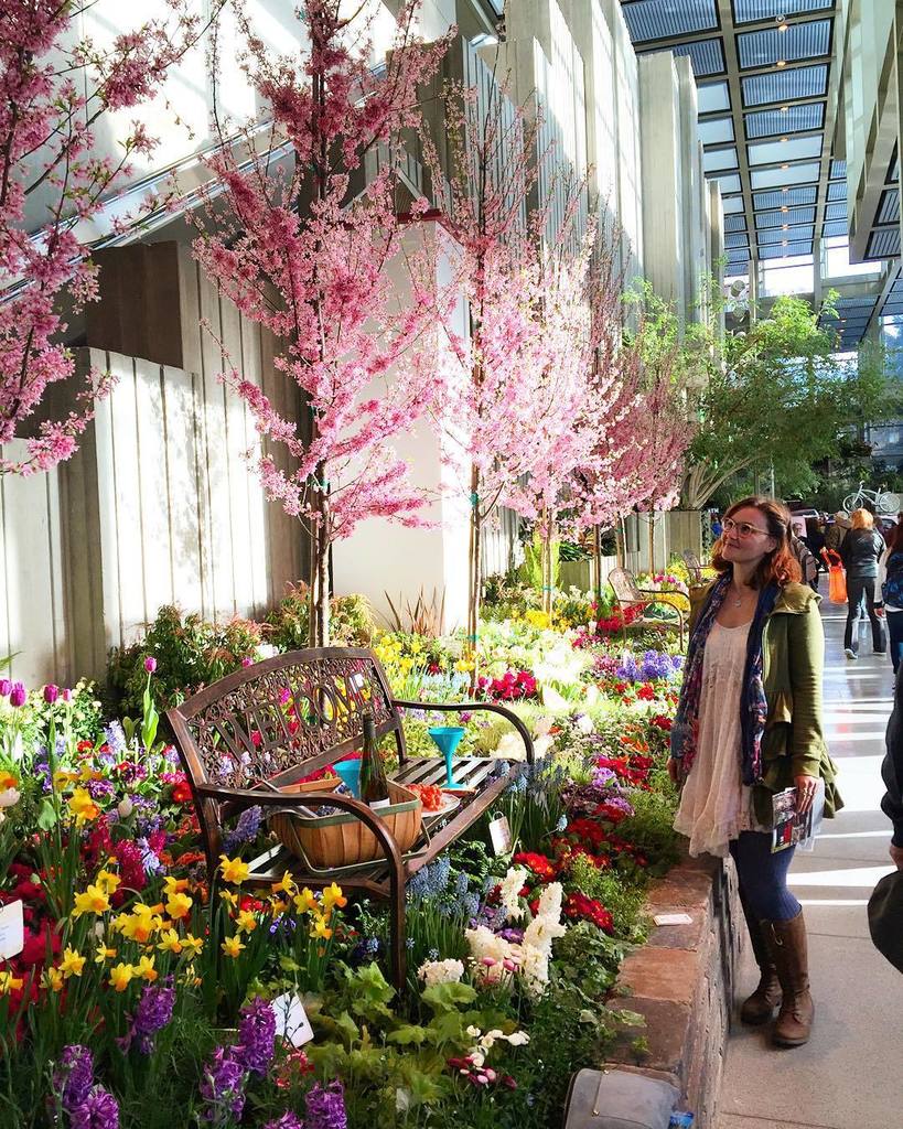 DIGNursery's tweet image. Great pic! RT @floraforager: I'm at the Northwest Flower and Garden Show! ift.tt/1oATG34