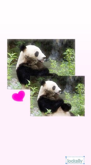 locksily tweet picture
