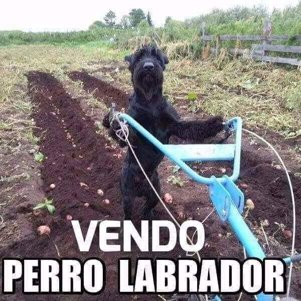 titamjps's tweet photo. chiKos de la Kámpora, aprendan https://t.co/i7wvPZFDyR