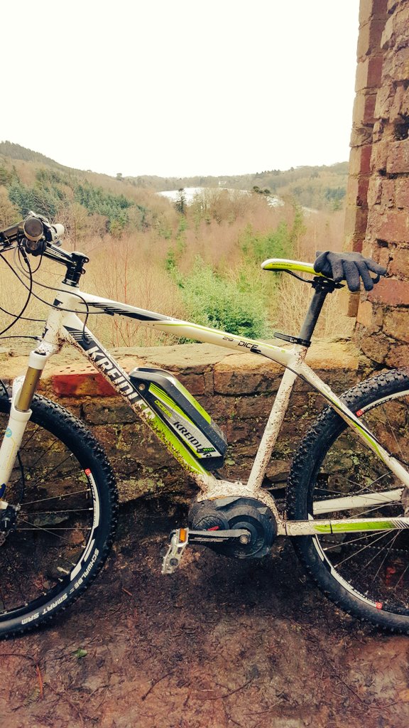 Mark McKeown tweet media