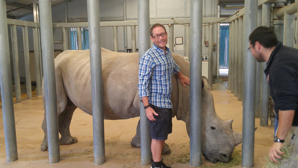 powermultisport's tweet photo. What do you get when you cross an elephant and a rhinoceros?   Ele-if-I-know.  #iseatx2016 https://t.co/PUcGn5ftCt