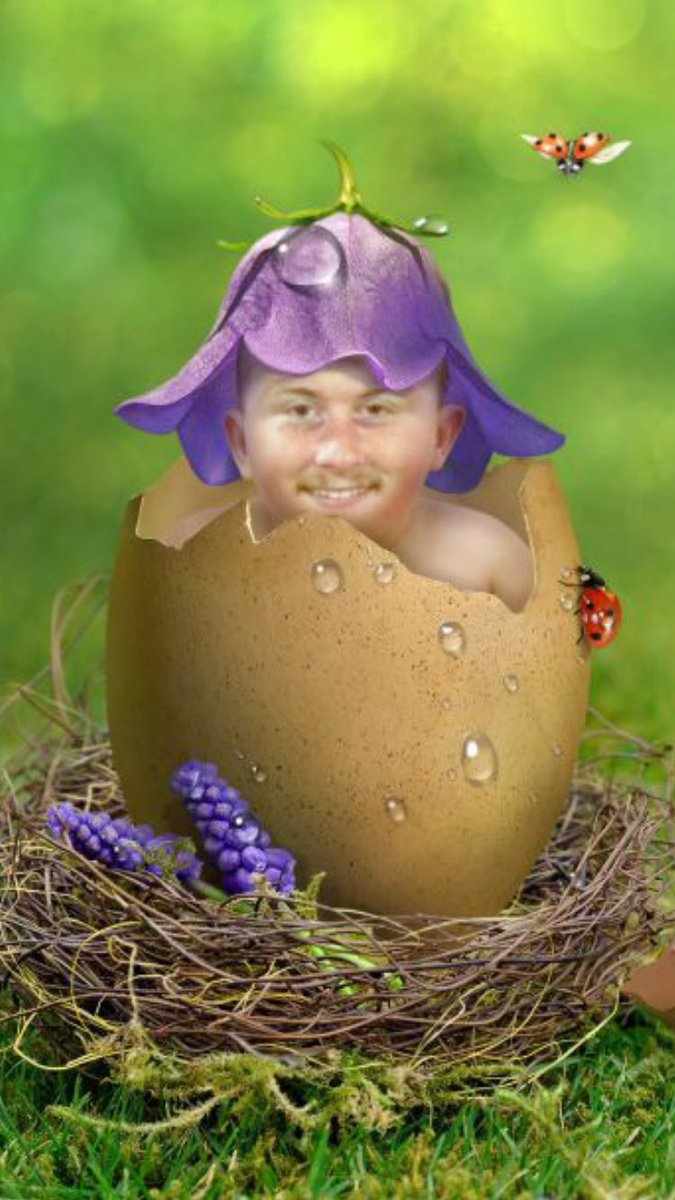 samnicholas2010's tweet photo. When you just hatched https://t.co/xl4ZaqxpIQ