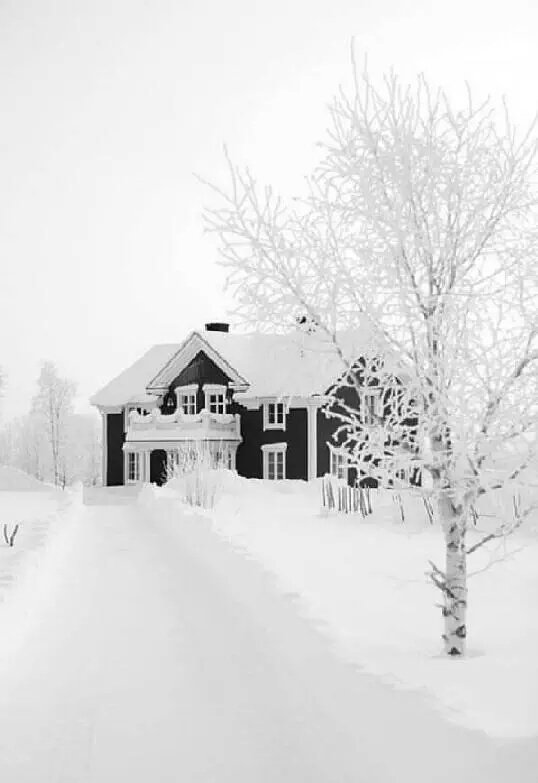 FER (@ferloruiz) on Twitter photo 