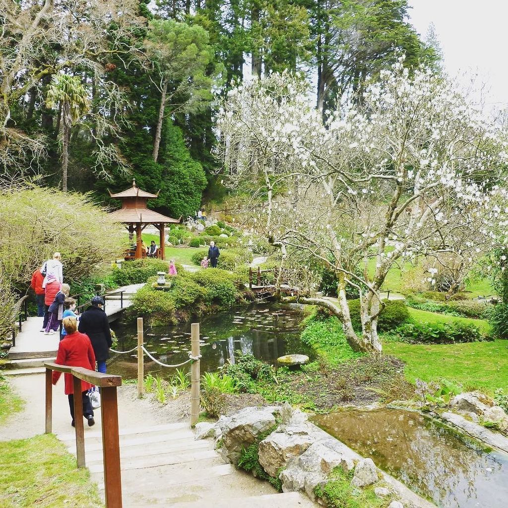 CatchyTrips's tweet photo. #powerscourtgardens #ireland #visitireland #dublin #catchytrips https://t.co/V8vqlUxg0C