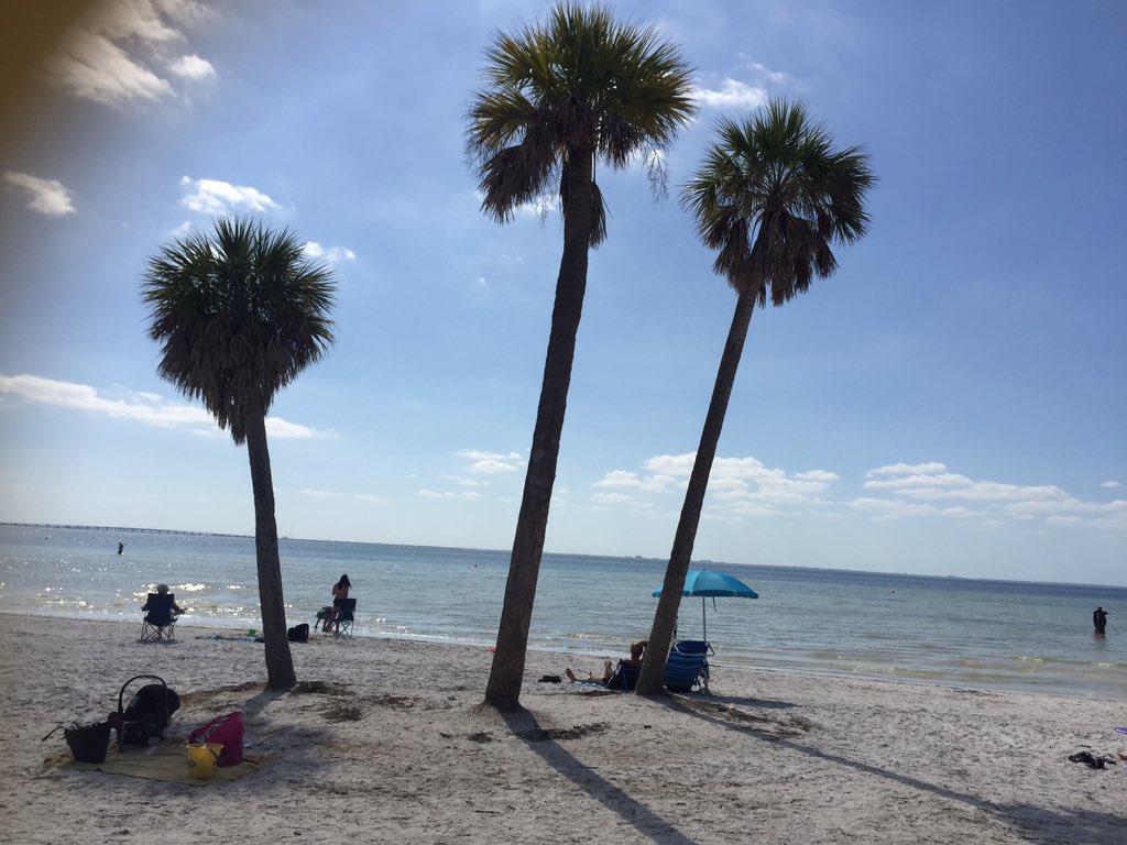 mimi8821's tweet photo. #beachlife #Tamparesident #living https://t.co/5vkJpOC3ui