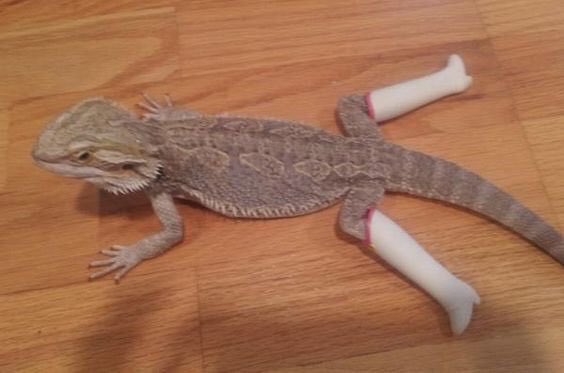 W0RLDSTARC0MEDY's tweet photo. DAMN DANIEL! Back at it again with the white Vans https://t.co/1WgfcRz5v8