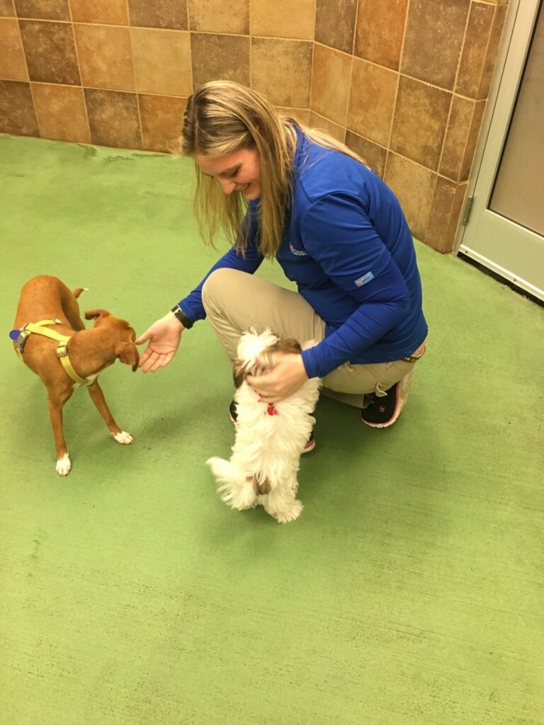 petsmart1356's tweet photo. #puppypalooza #teamnga https://t.co/icMvrVfNlG
