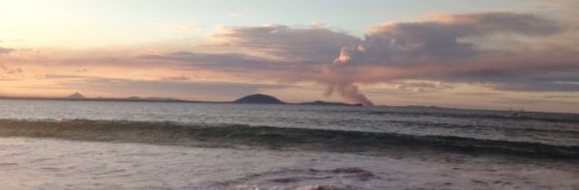 illicithowell's tweet image. 