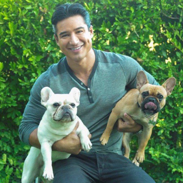 Today's the day to love your pet