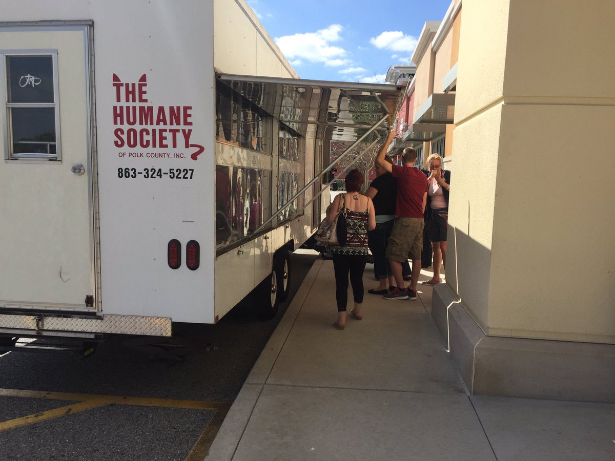 Thealiebee's tweet photo. 11 Puppy Guides at 1742 AND the HS arrived with more puppies! 🐾 #cflpetm @joeyswalk @cfladamharrel @jeffedwards105 https://t.co/sLeuvocX93