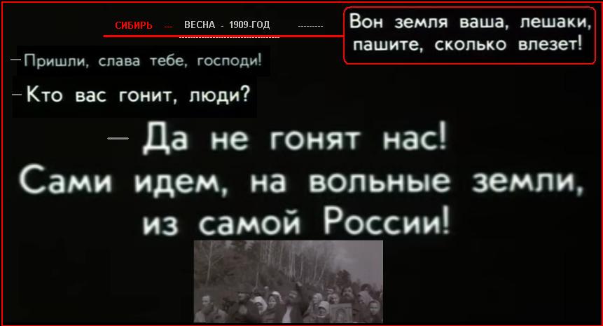 Два украинских бизнесмена убиты выстрелами в голову в Тамбовской области РФ - Цензор.НЕТ 5723