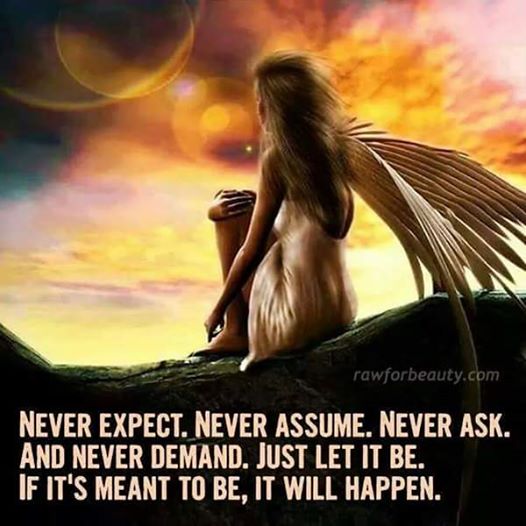 virtualfair1's tweet photo. #expectations #havenoexpectations #surrendertowhatis #havefaith #inspirational #inspiration https://t.co/JcjJPGhv8d