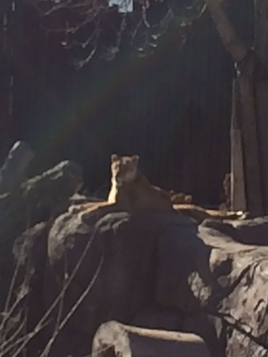 lar_lou's tweet photo. Perfect day to come see friends new and old @clemetzoo @clevezoosociety #meetdoc https://t.co/8P7SFi5uvJ