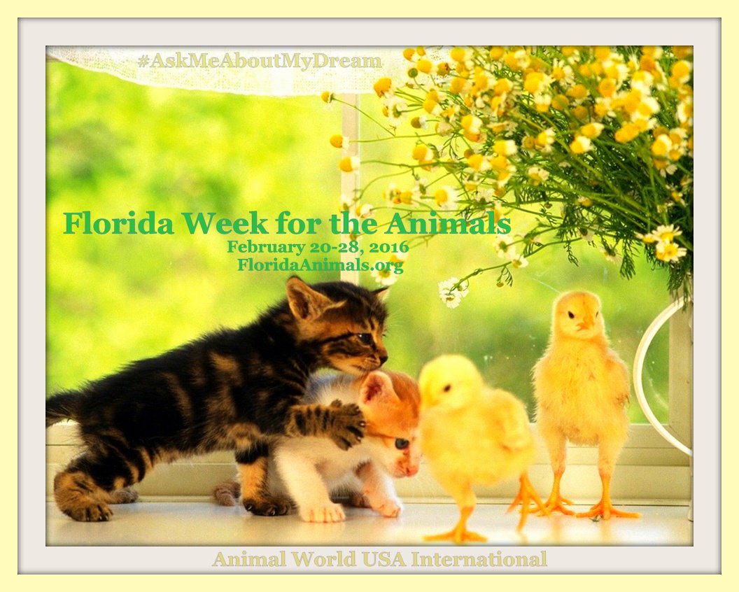 BuckalewAWUSA's tweet photo. #Florida #WeekfortheAnimals spotlite #Vegetarian #Vegan Events #FarmAnimals #SentientBeings https://t.co/F0i3NrzN8S https://t.co/JcUEyfvLGI
