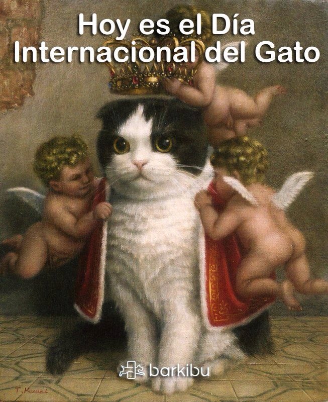 sergat0's tweet image. Feliz día!!  😱😺